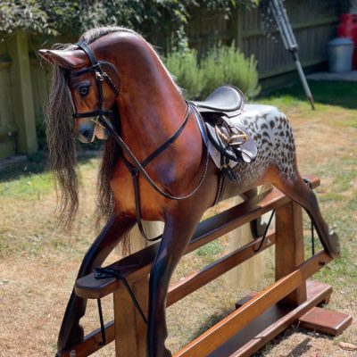 appaloosa1