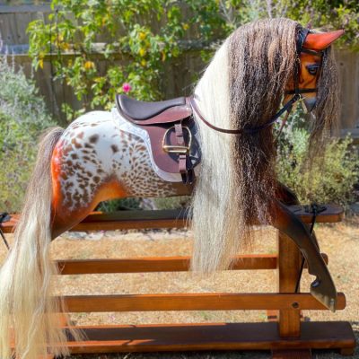 appaloosa5