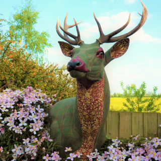 reindeer